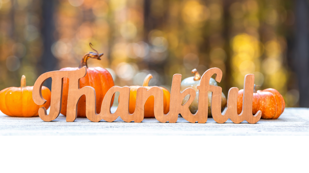 A Season of Thanks: Celebrating Service, Teamwork & Community at Towne